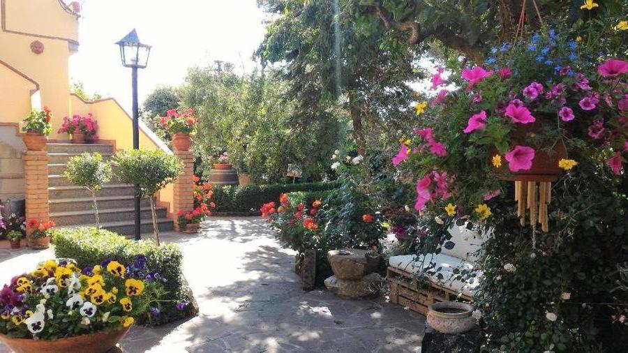 Bed And Breakfast Val Di Lupa Castellina Marittima Eksteriør billede